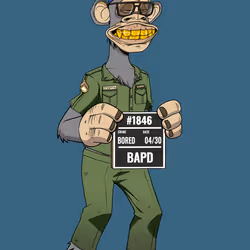 Full Body Ape #903