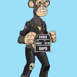 Full Body Ape #395