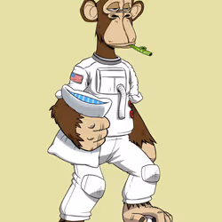 Full Body Ape #526