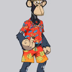 Full Body Ape #719