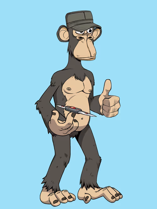 Full Body Ape #1104