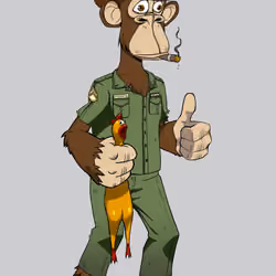 Full Body Ape #1024