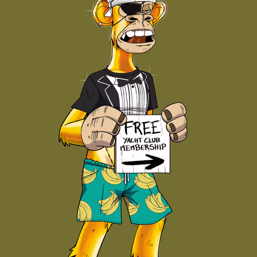 Full Body Ape #1007
