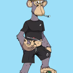 Full Body Ape #477