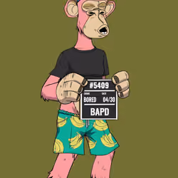 Full Body Ape #545