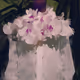 Secrets & Gardens