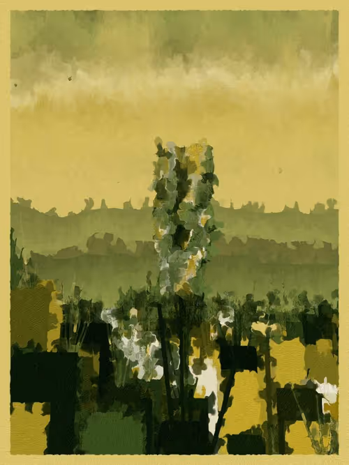 Item #3000600003 Media