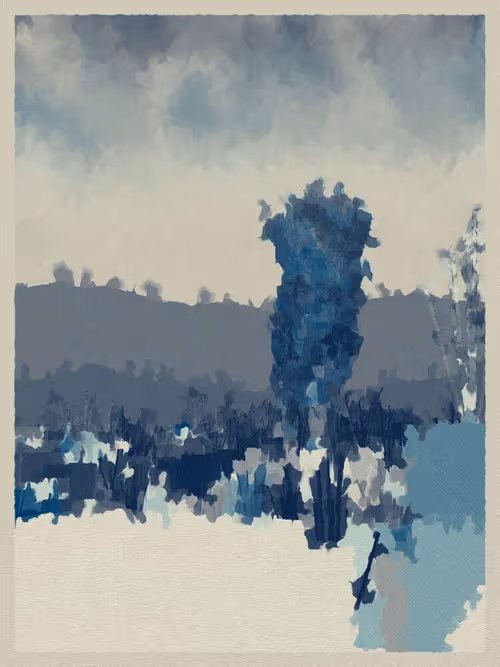 Item #3000600041 Media