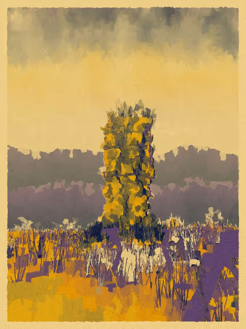 Item #3000600021 Media