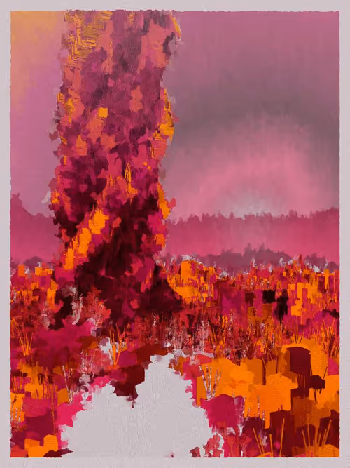 Item #3000600032 Media