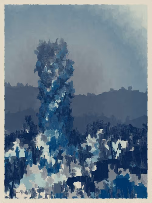 Item #3000600046 Media