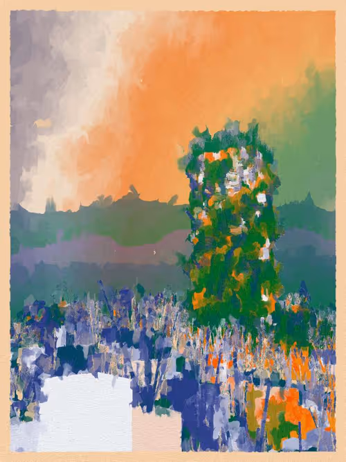 Item #3000600035 Media