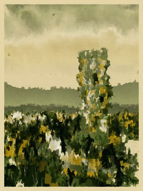 Item #3000600002 Media