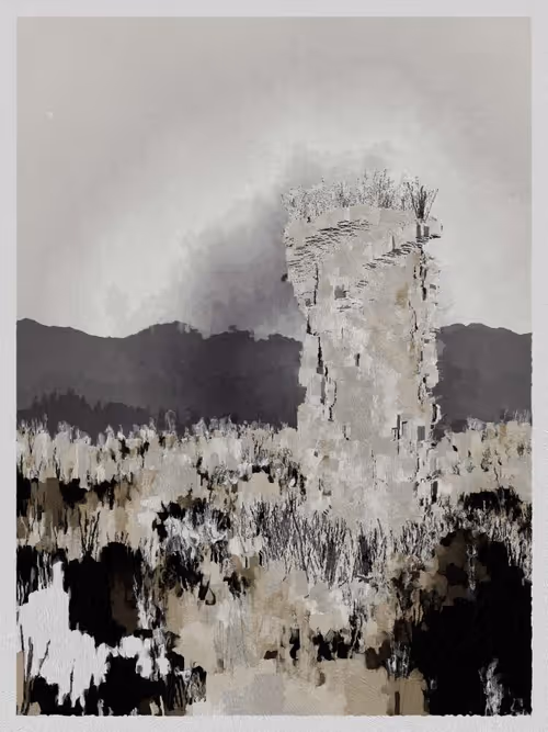 Item #3000600042 Media