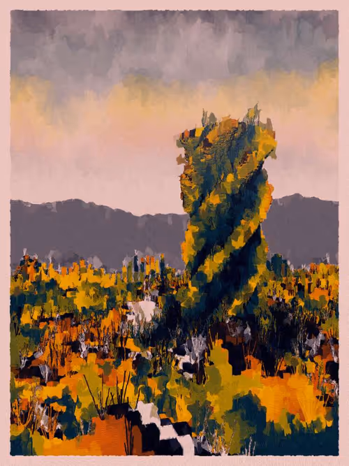 Item #3000600027 Media