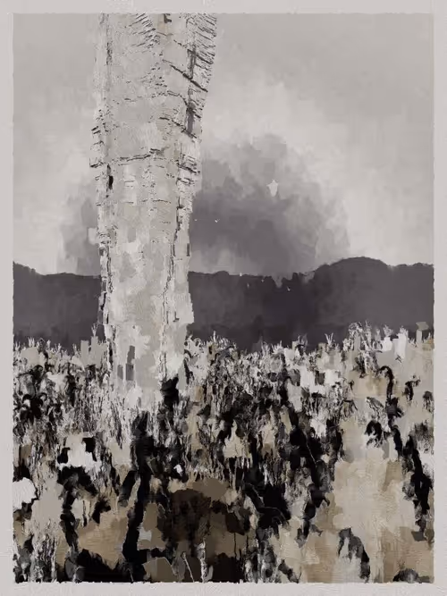 Item #3000600037 Media