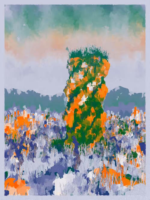 Item #3000600006 Media