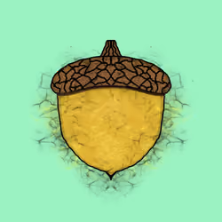 Acorns #4253
