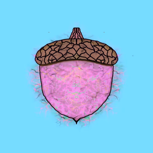 The Squirrels Nest Acorns