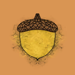 Acorns #380