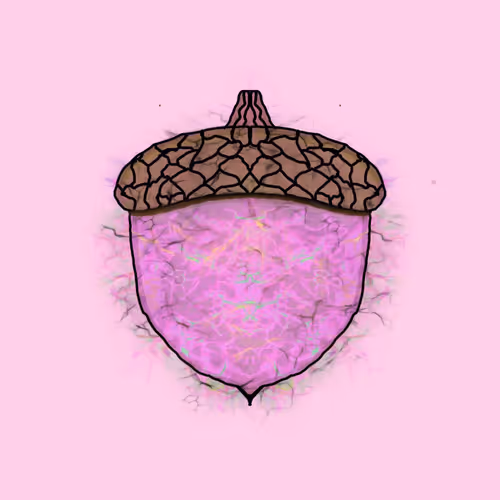The Squirrels Nest Acorns