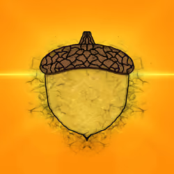 Acorns #378