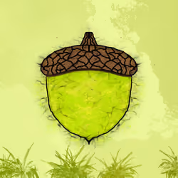 Acorns #1978
