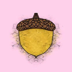 Acorns #4187