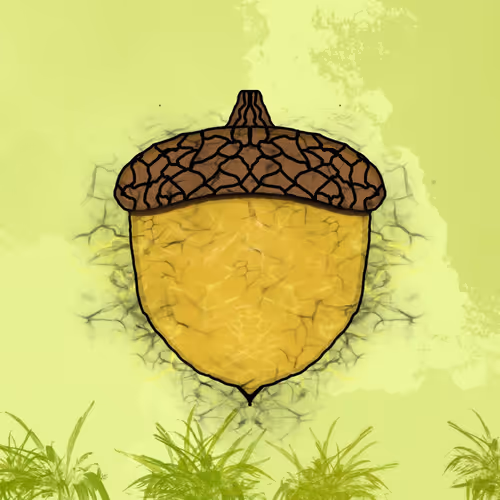 The Squirrels Nest Acorns