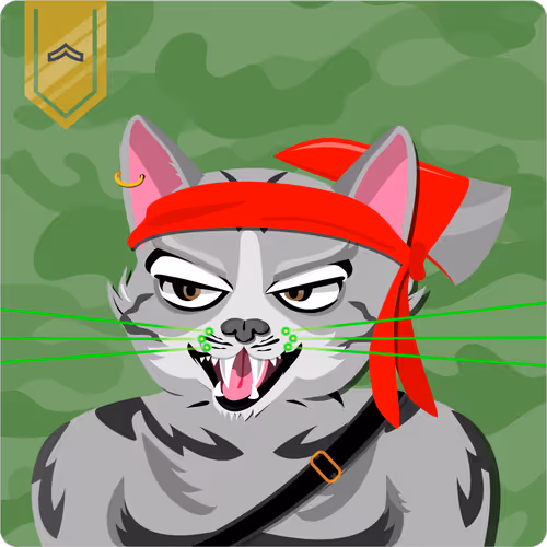Mad Cat Militia