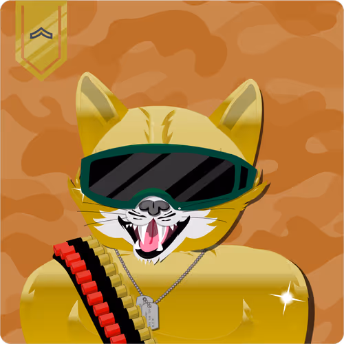 Mad Cat Militia