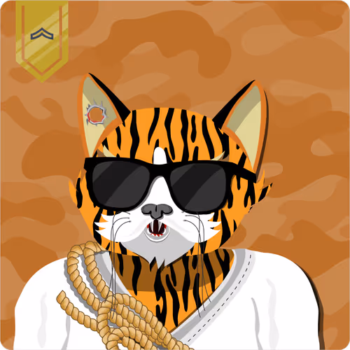 Mad Cat Militia