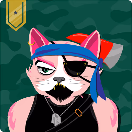 Mad Cat Militia