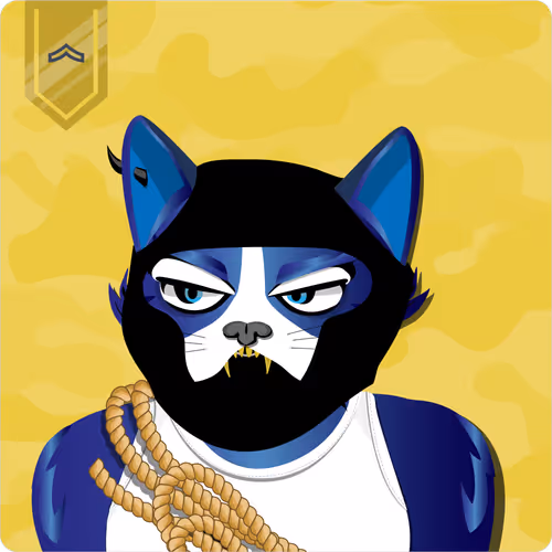 Mad Cat Militia