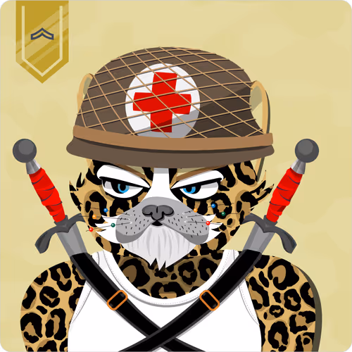 Mad Cat Militia