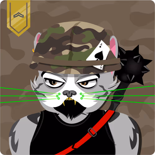 Mad Cat Militia