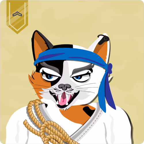 Mad Cat Militia