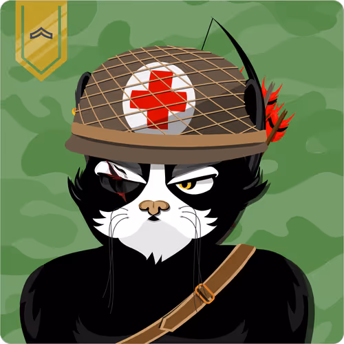Mad Cat Militia