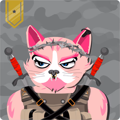 Mad Cat Militia