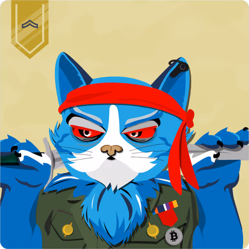Mad Cat Militia