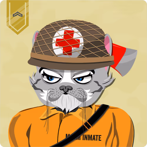 Mad Cat Militia