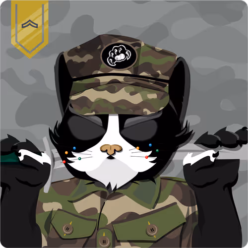 Mad Cat Militia