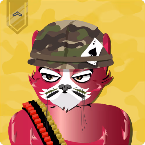 Mad Cat Militia