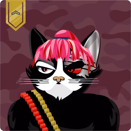 Mad Cat Militia