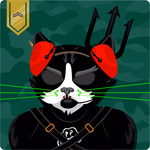 Mad Cat Militia