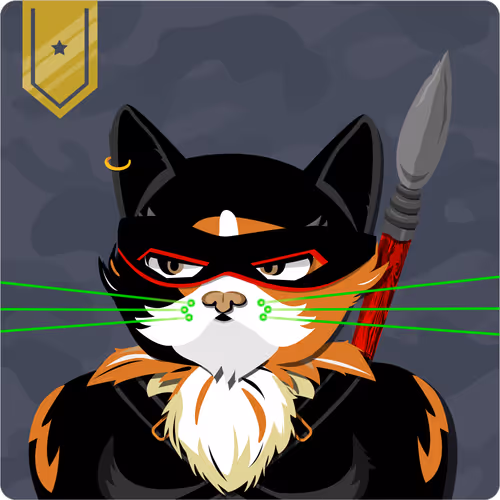 Mad Cat Militia