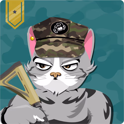 Mad Cat Militia