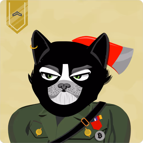 Mad Cat Militia