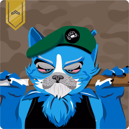 Mad Cat Militia