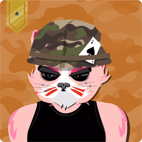 Mad Cat Militia
